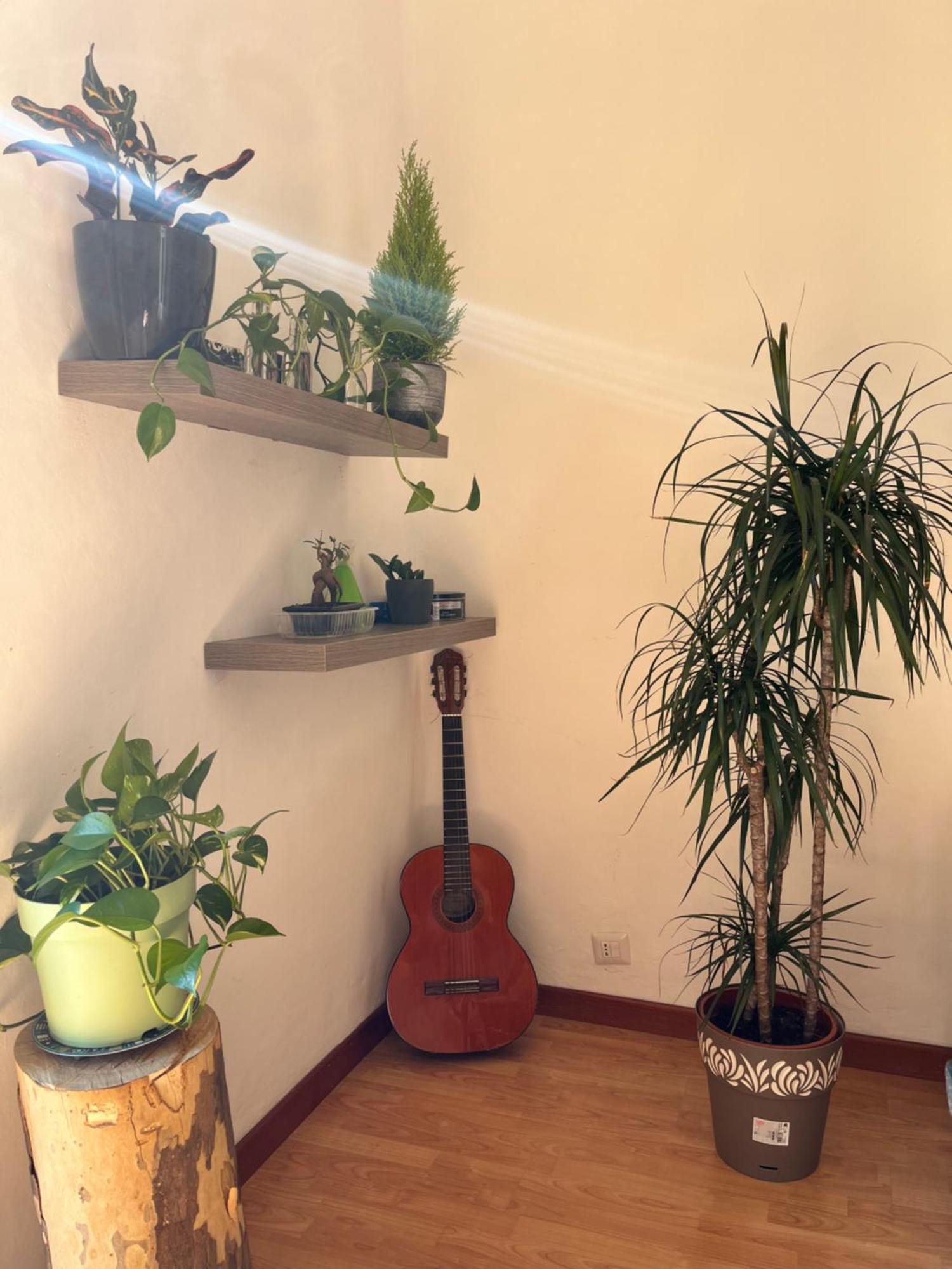 Molis'S House Ξενοδοχείο Μιλάνο Εξωτερικό φωτογραφία